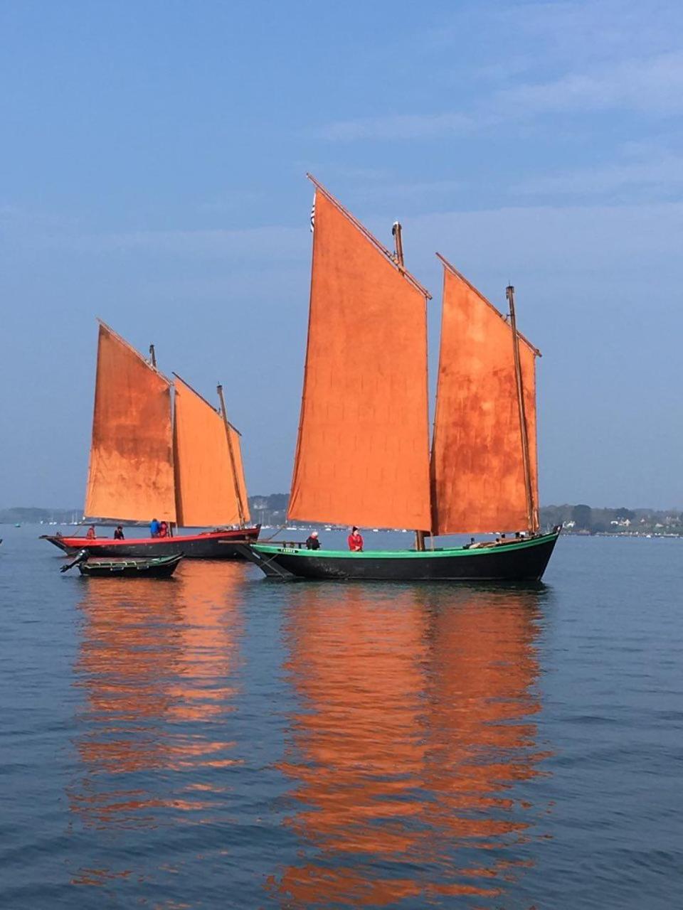 1 2 3 Chambres Entre La Presqu Ile De Rhuys Et Le Golfe Du Morbihan Theix Zewnętrze zdjęcie